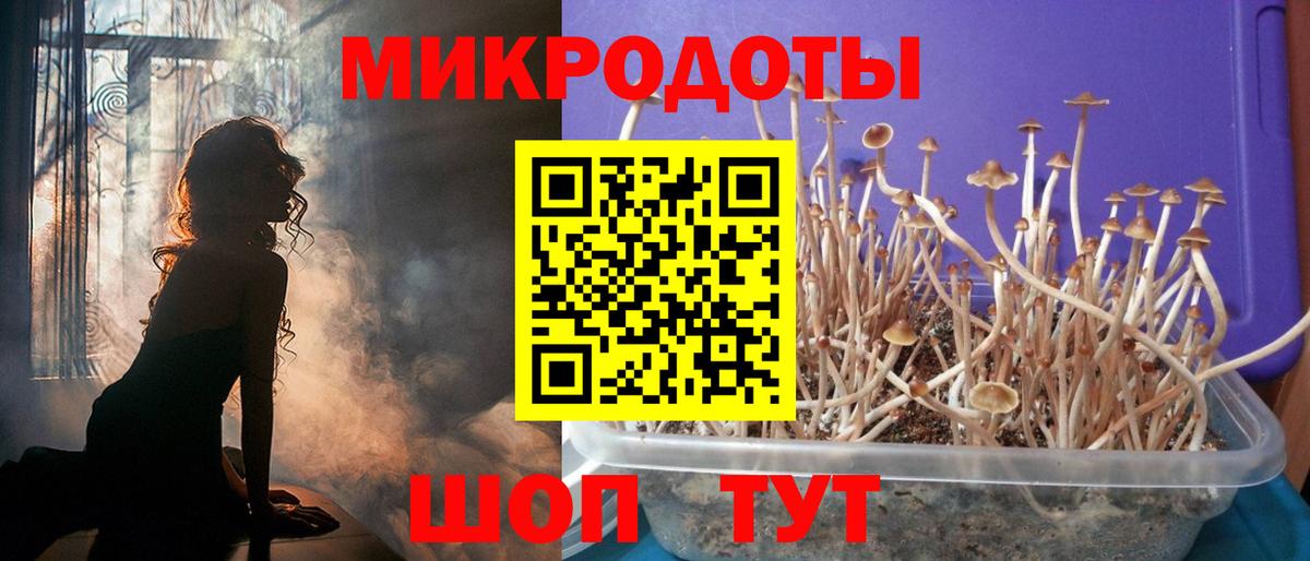Фролово  Псилоцибиновые грибы Magic Shrooms  Вход с VPN 